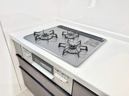 ���̑����� �O���K�X�R�����ł���������C�ɂ͂��ǂ肻���B  