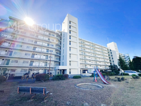 nOώʐ^ Ƃ肪Ί𐶂ސSn悢 