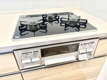 ���̑����� �O���K�X�R�����ł���������C�ɂ͂��ǂ肻���B  