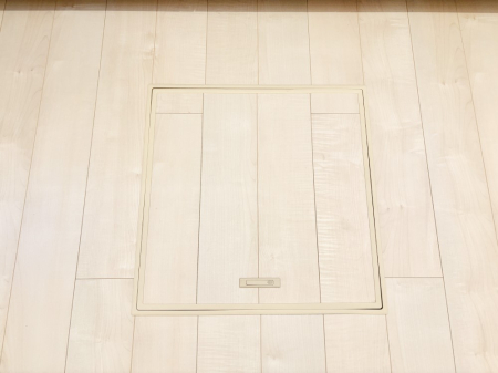 ���̑����� �������[�t���I���p�i�E���p�i�̎��[�ɂ��劈��B