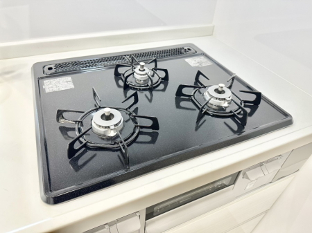 ���̑����� �O���K�X�R�����ł���������C�ɂ͂��ǂ肻��  