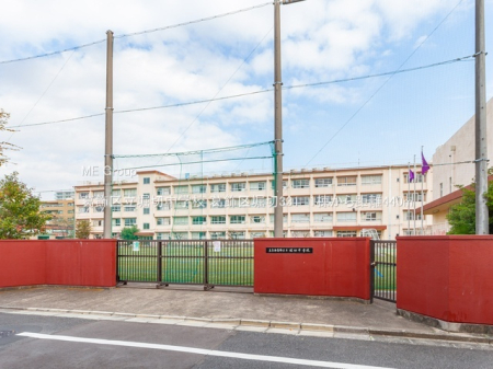 ӊ wZ 440m 旧xؒwZ