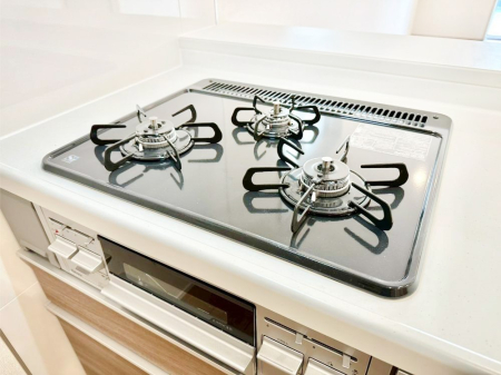 ���̑����� �K�X�R�����͂r���Z���T�[���ځB�Η͒��߂�ł��t���E�����Y����h���ł���܂��B