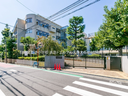 ӊ wZ 510m ڍ旧菬wZ