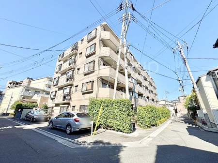 nOώʐ^ Ƃ肪Ί𐶂ސSn悢 