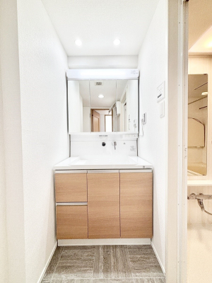 ʑEʏ 傫₷OʋŐʑ́AgȂ݃`FbN┧̂ɂ߂łB