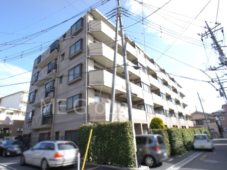 nOώʐ^ Ƃ肪Ί𐶂ސSn悢 