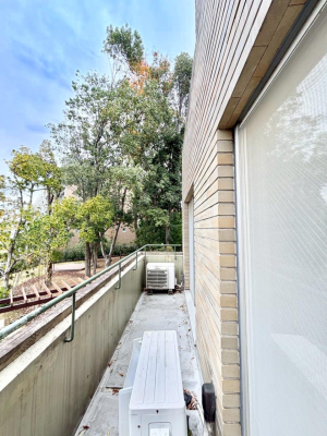 �o���R�j�[ ���ʂ��̗ǂ��o���R�j�[