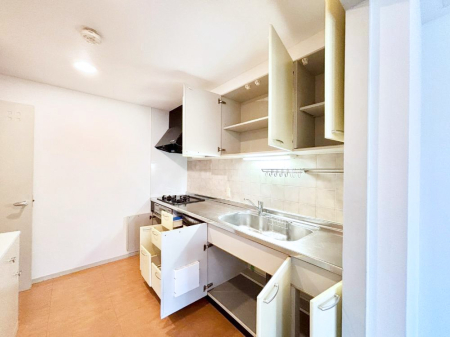 ���̑����� �݌˒I������̂ŃL�b�`����������I