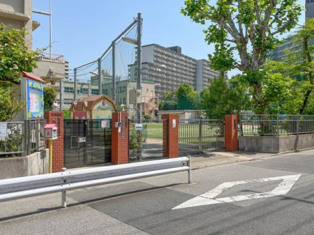 ӊ wZ 800m 旧攪wZ