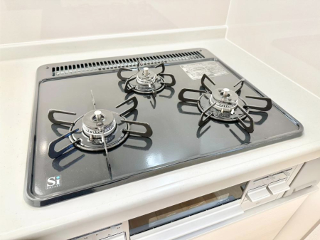 ���̑����� �O���K�X�R�����ł���������C�ɂ͂��ǂ肻��  �@