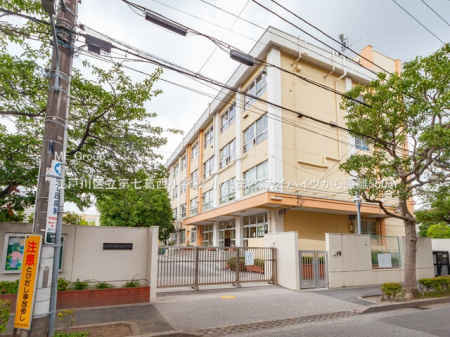 ӊ wZ 550m ]ː旧掵wZ