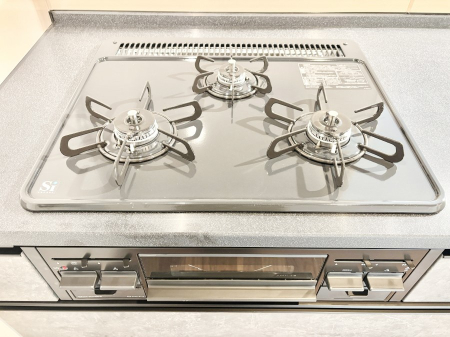 ���̑����� �O���K�X�R�����ł���������C�ɂ͂��ǂ肻���B  