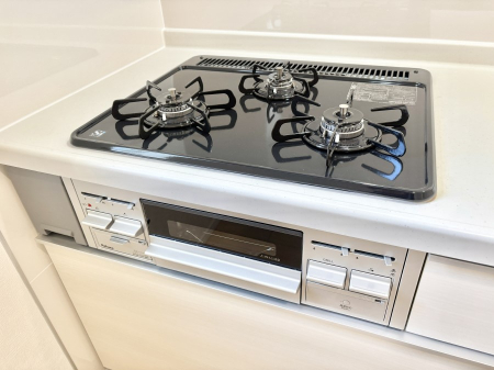 ���̑����� �O���K�X�R�����ł���������C�ɂ͂��ǂ肻��  �@