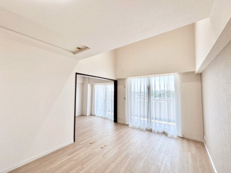 ̑ 傫ȑ炽Ղ̗zƕ郊rO  