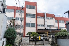 ӊ ̑ʐ^ 550m s{wZ