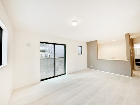 ̑ 傫ȑ炽Ղ̗zƕ郊rO