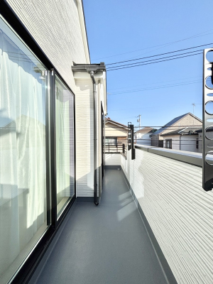 �o���R�j�[ ������̃o���R�j�[�I���Ƒ��̐��󕨂͂������A���z�c�������Ղ花���܂��I