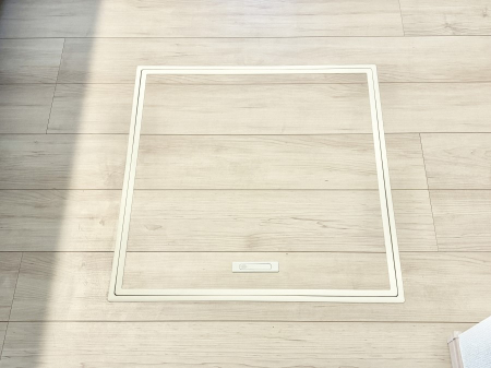 ���̑����� �������[�t���I���p�i�E���p�i�̎��[�ɂ��劈��B