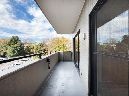 �o���R�j�[ ���ʂ��̗ǂ��o���R�j�[