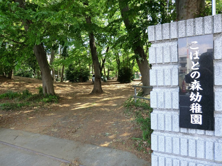 ӊ ctEۈ牀 500m ΂Ƃ̐Xct