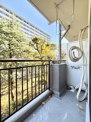 �o���R�j�[ �S�n�悢���������Ȃ��炨���󕨂����������ł�