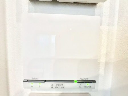 ���̑����� ���g�[�t���œ~���|�J�|�J�B���Ƒ��̌e���̃X�y�[�X�ɂȂ�܂��ˁB