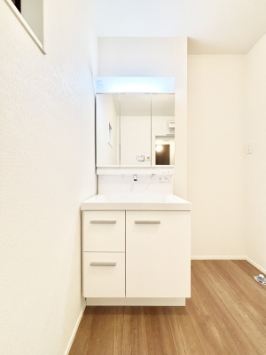 ���ʑ�E���ʏ� ���[�͂Ƌ@�\���ɗD�ꂽ���ʉ��ϑ�