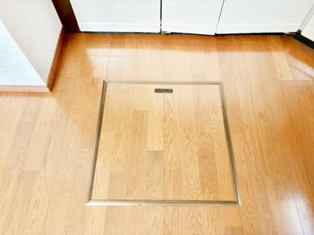 ���̑����� �������[�t���I���p�i�E���p�i�̎��[�ɂ��劈��B