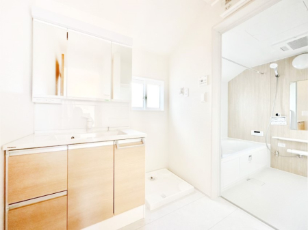 ���̑� �_�炩�Ȓ��̌����������鑋���������ʎ�