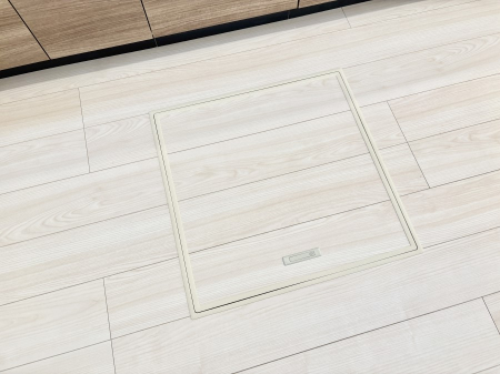 ���̑����� �������[�t���I���p�i�E���p�i�̎��[�ɂ��劈��B