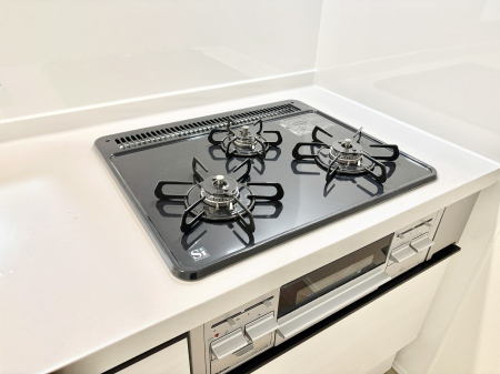 ���̑����� �O���K�X�R�����ł���������C�ɂ͂��ǂ肻��   