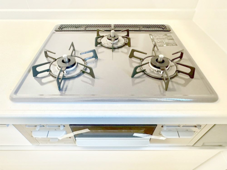 ���̑����� �O���K�X�R�����ł���������C�ɂ͂��ǂ肻���B  