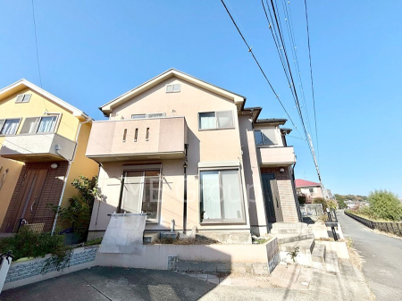 nOώʐ^ Ƃ肪Ί𐶂ސSn悢 