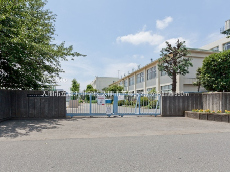 ӊ wZ 550m Ԏs򒆊wZ