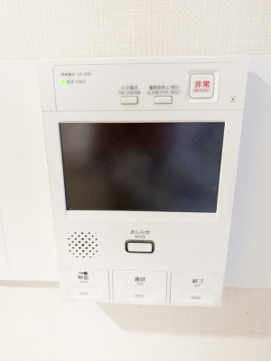 ̑ zvĂߔNłTVj^[tŖhƖʂSłB