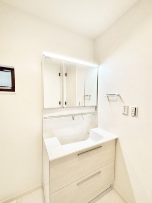 ���̑� �_�炩�Ȓ��̌����������鏬�����������ʎ�