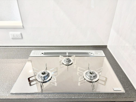 ���̑����� �K�X�R�����͂r���Z���T�[���ځB�Η͒��߂�ł��t���E�����Y����h���ł���܂��B