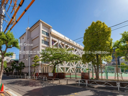 ӊ wZ 800m nc旧twZ