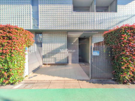 �G���g�����X -