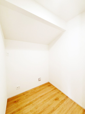 ���̑� �p�r�l�X�Ȕ[��