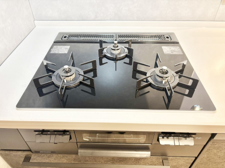 ���̑����� �O���K�X�R�����ł���������C�ɂ͂��ǂ肻��  