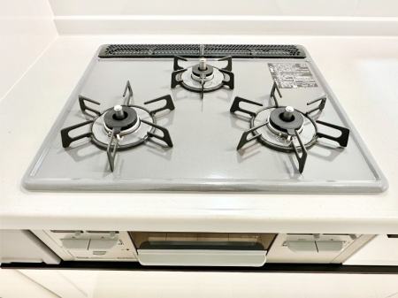 ���̑����� �O���K�X�R�����ł���������C�ɂ͂��ǂ肻���B  