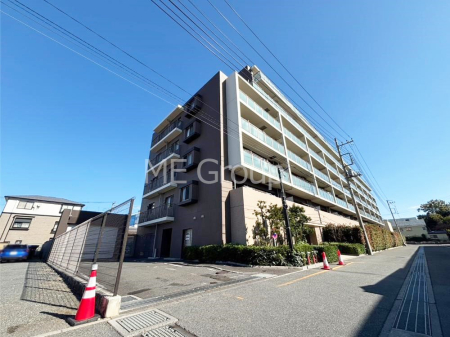 ���n�O�ώʐ^ ��Ƃ肪�Ί�𐶂ސS�n�悢����