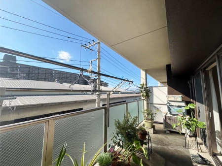 �o���R�j�[ ���ʂ��̗ǂ��o���R�j�[