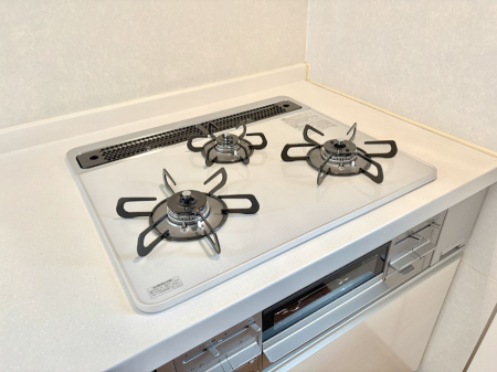 ���̑����� �O���K�X�R�����ł���������C�ɂ͂��ǂ肻��  