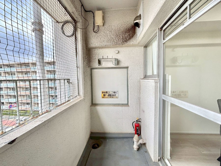 �o���R�j�[ �S�n�悢���������Ȃ��炨���󕨂����������ł�