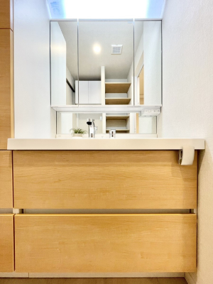 ���ʑ�E���ʏ� ���[�͂Ƌ@�\���ɗD�ꂽ���ʉ��ϑ�  