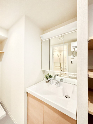 ���ʑ�E���ʏ� ���[�͂Ƌ@�\���ɗD�ꂽ���ʉ��ϑ�