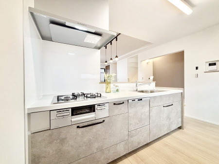 �L�b�`�� �J�E���^�[�z���Ɋy����������ׂ�B�����̂������������Ɣ��������Ȃ肻���ł��ˁB 